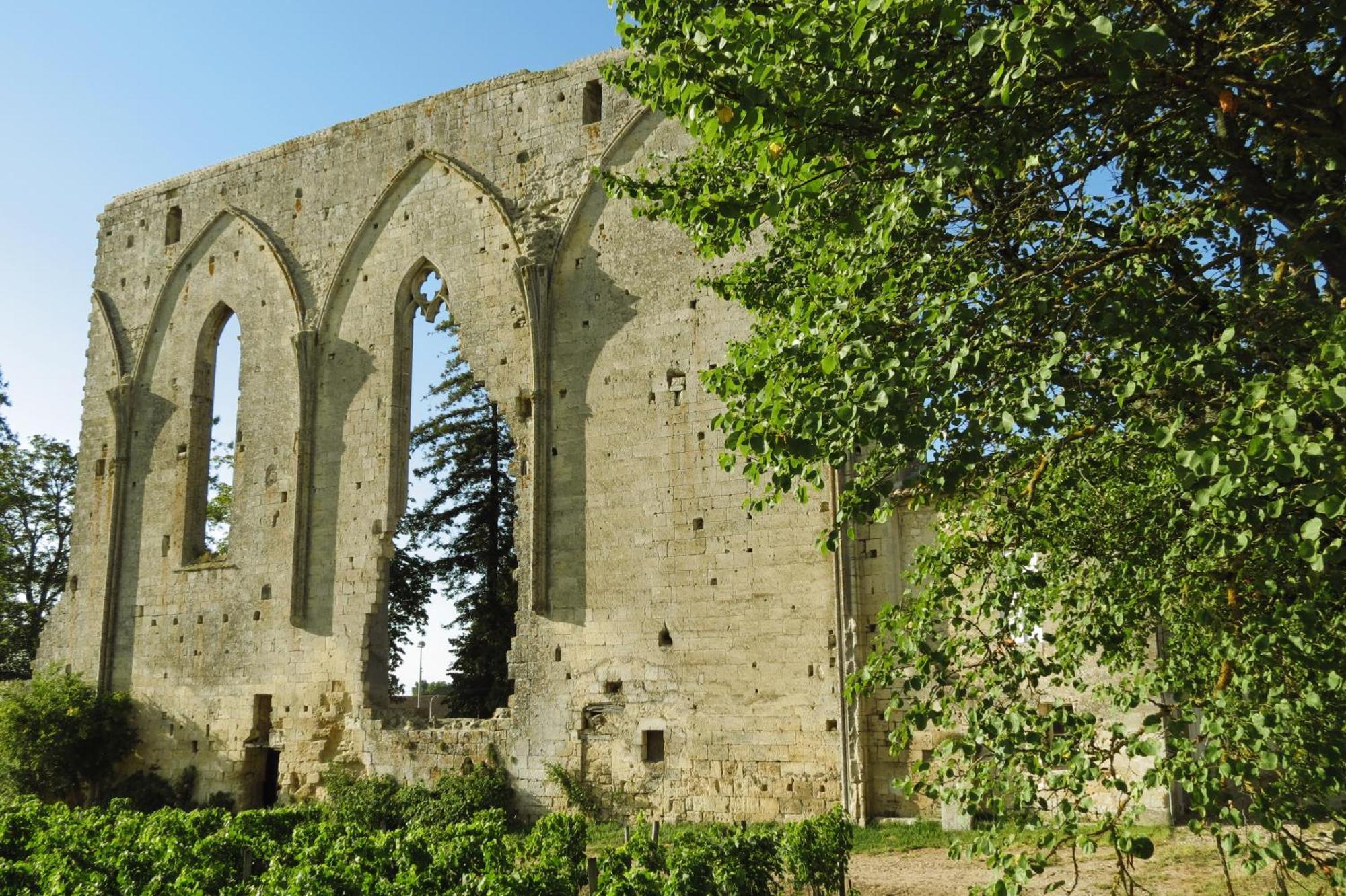 Bed and Breakfast Bleu Raisin Les Salles-de-Castillon Exterior foto
