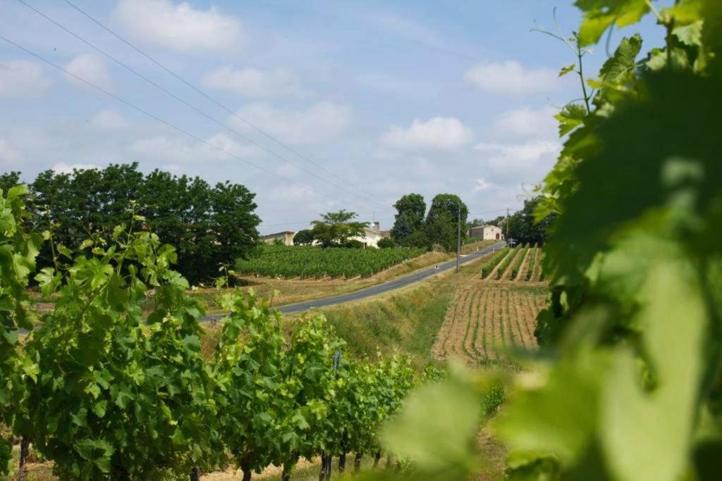 Bed and Breakfast Bleu Raisin Les Salles-de-Castillon Exterior foto